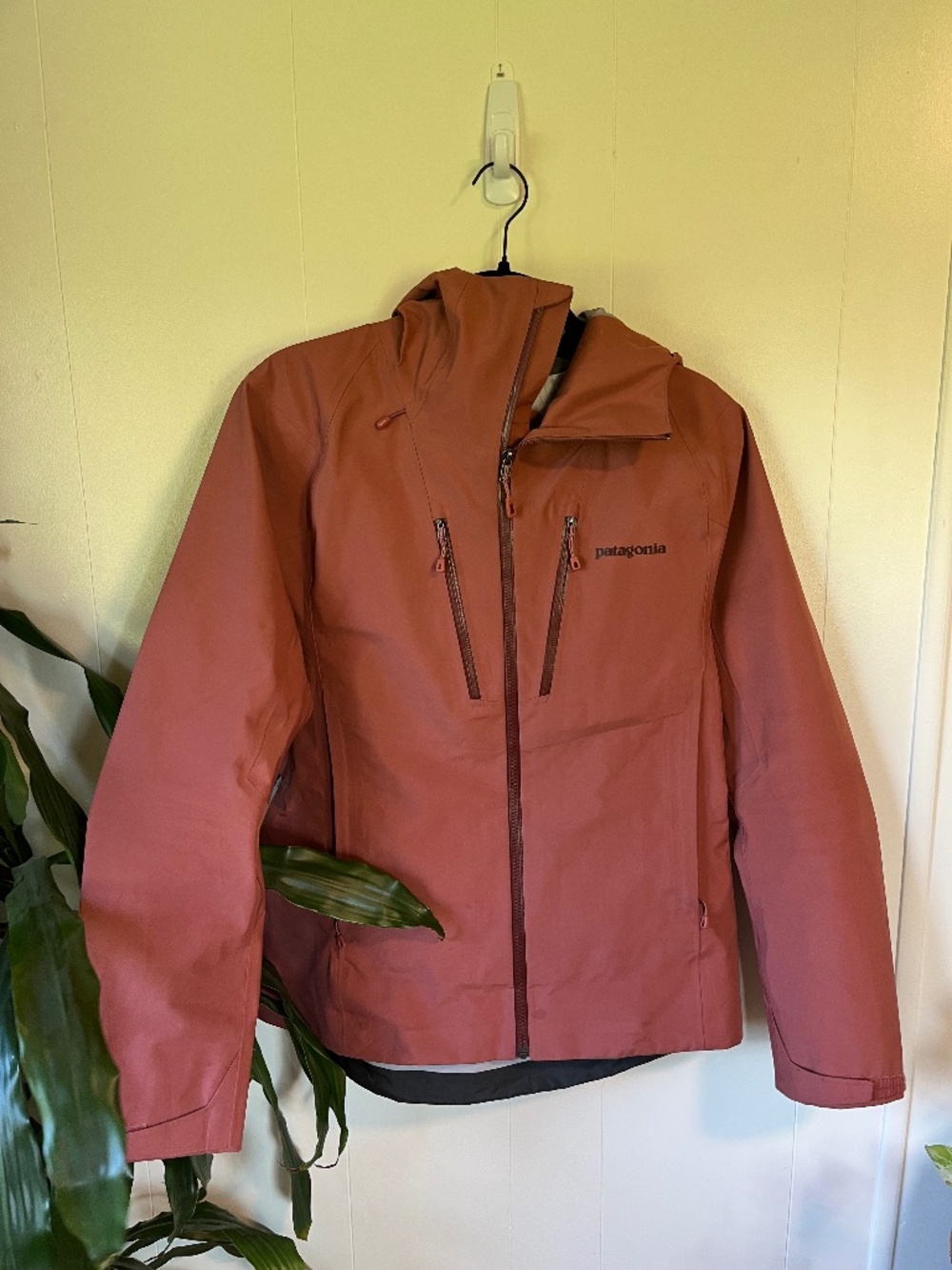 Patagonia Women’s GORE-TEX Ski Snowboard Shell Jacket Dusty Rose Size M